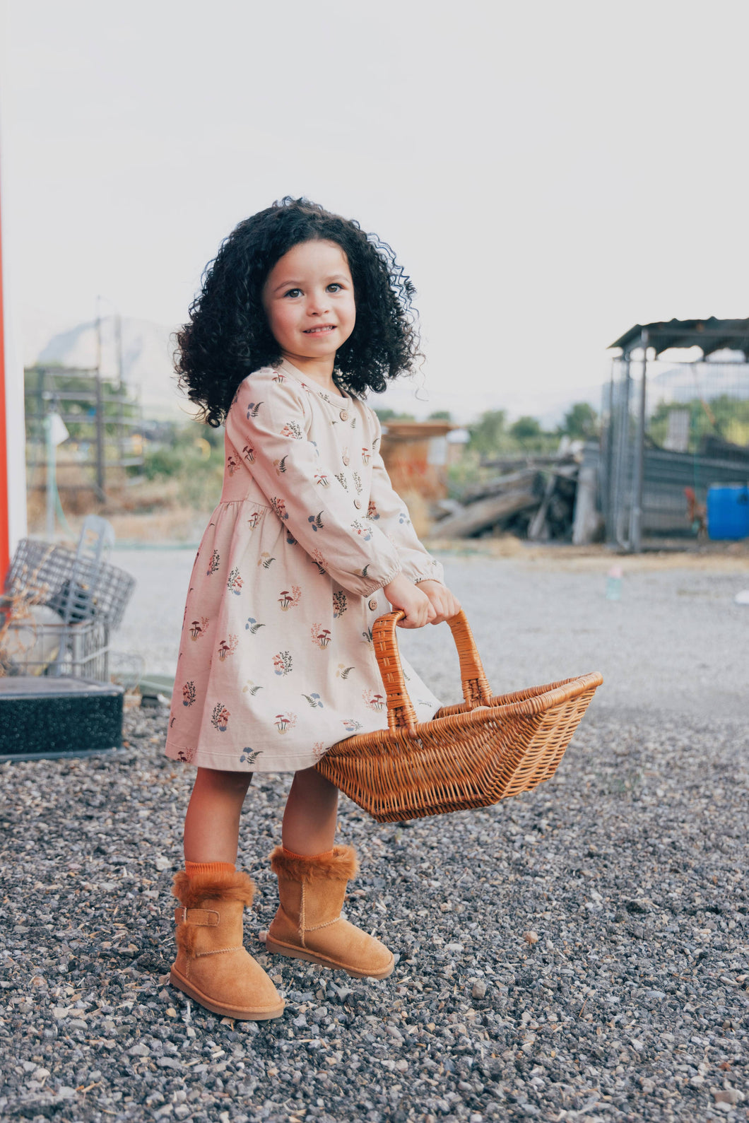 Button Down Dress- Mushrooms