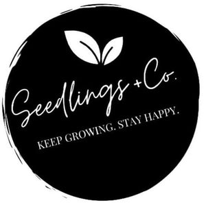 Seedlings+Co.