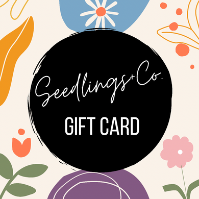 Seedlings+ Co. E-Gift Card